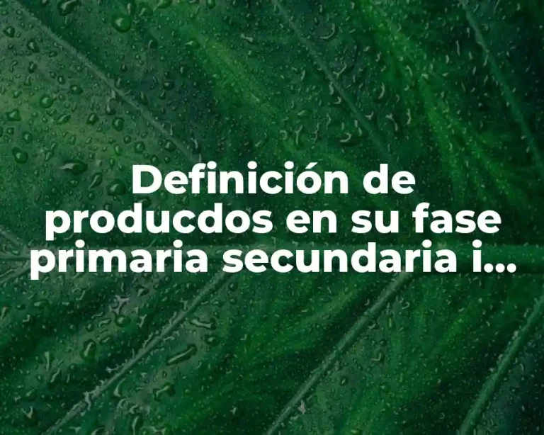 Definición de producdos en su fase primaria secundaria i dercearia