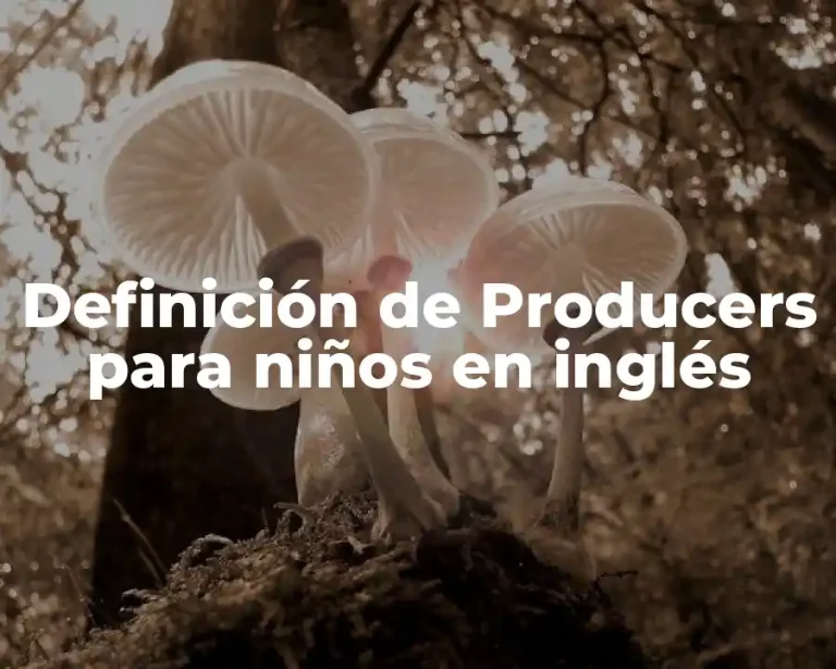 Definición de Producers para niños en inglés