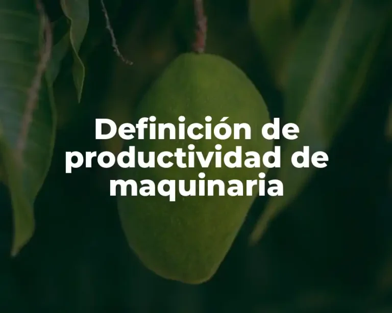Definición de productividad de maquinaria