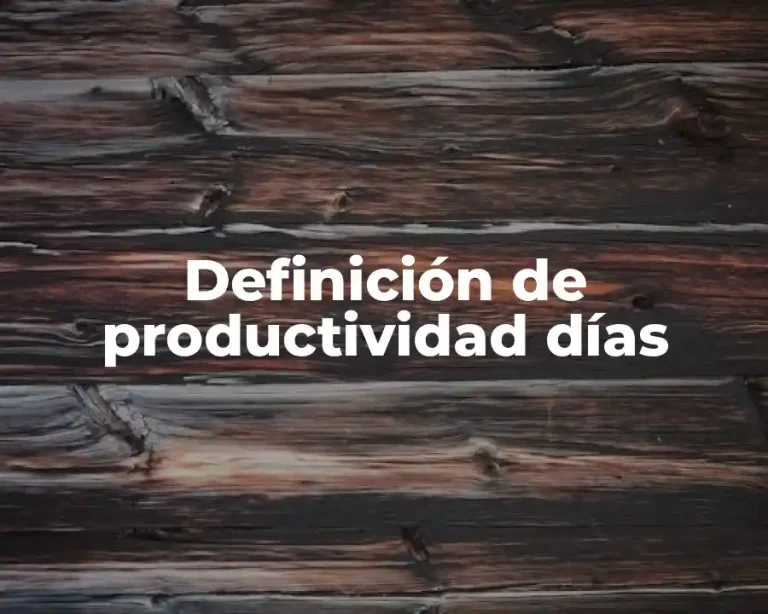 Definición de productividad días