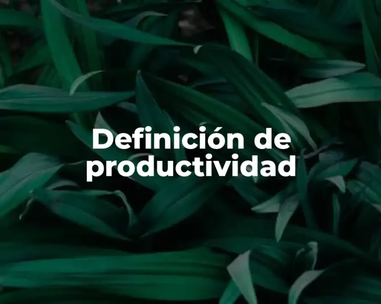 Definición de productividad