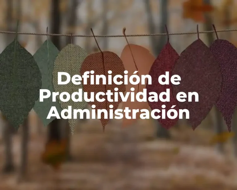Definición de Productividad en Administración