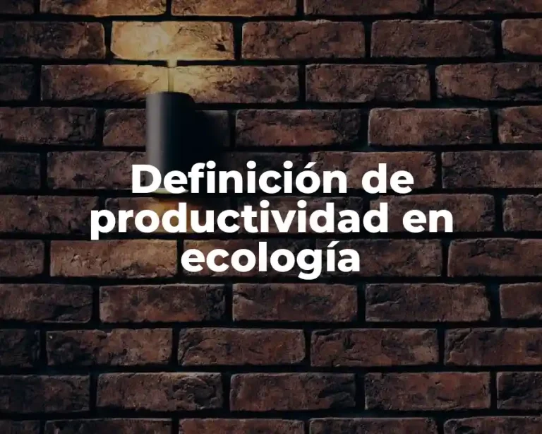 Definición de productividad en ecología