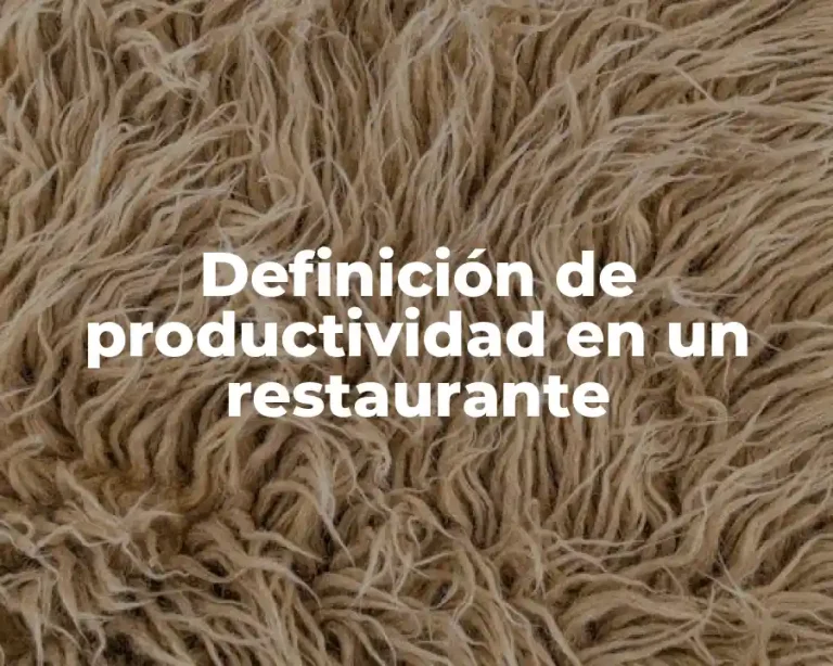 Definición de productividad en un restaurante