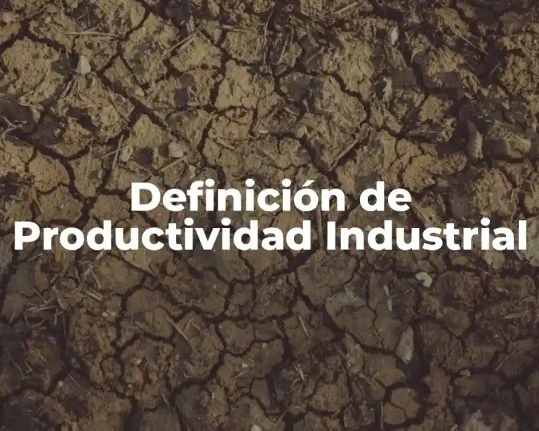 Definición de Productividad Industrial