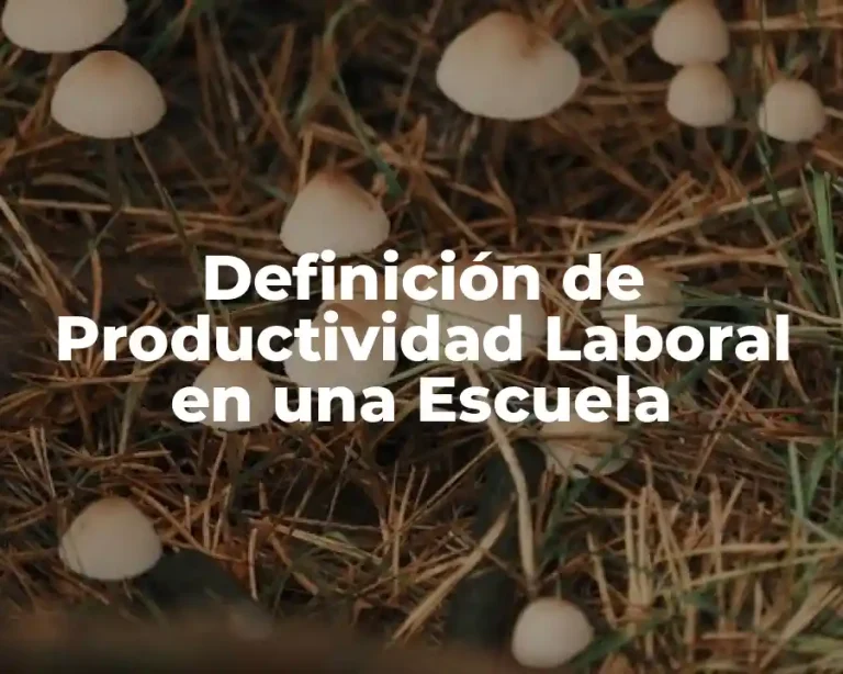 Definición de Productividad Laboral en una Escuela