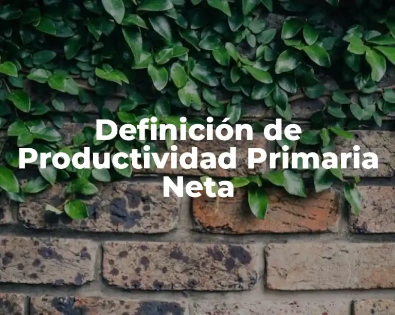 Definición de Productividad Primaria Neta