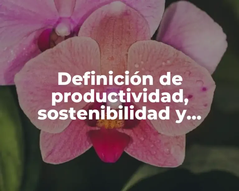 Definición de productividad, sostenibilidad y sustentabilidad