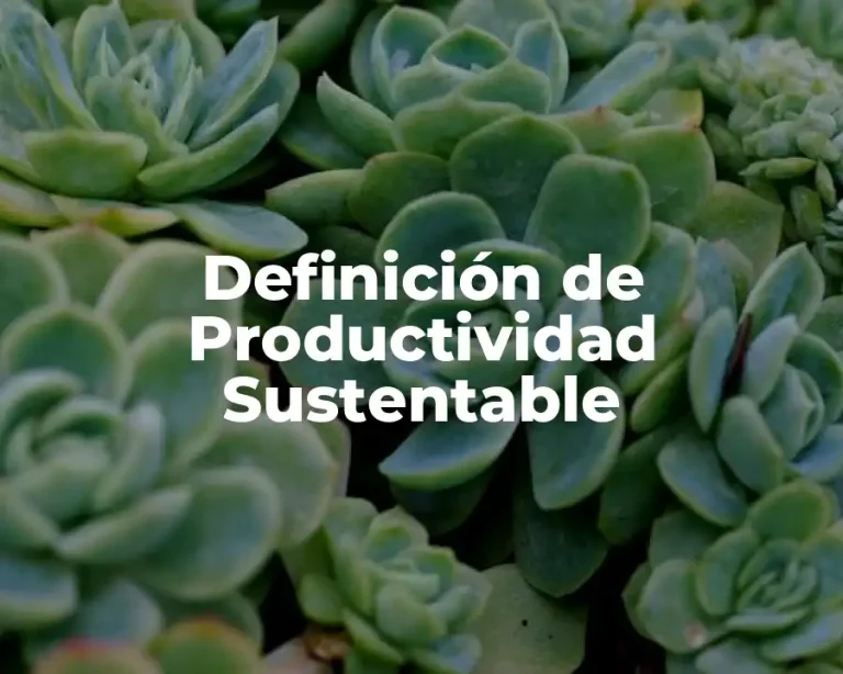 Definición de Productividad Sustentable