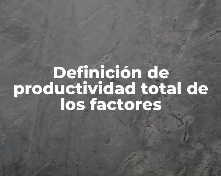 Definición de productividad total de los factores