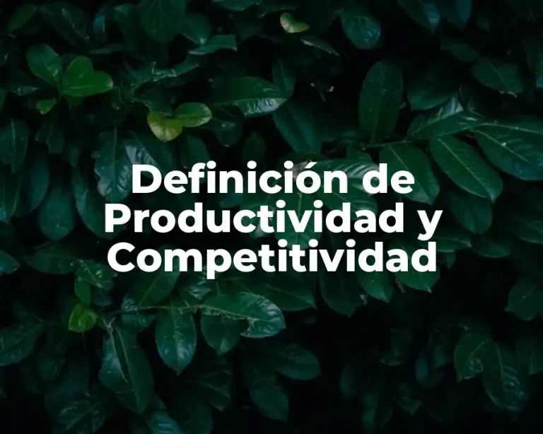 Definición de Productividad y Competitividad
