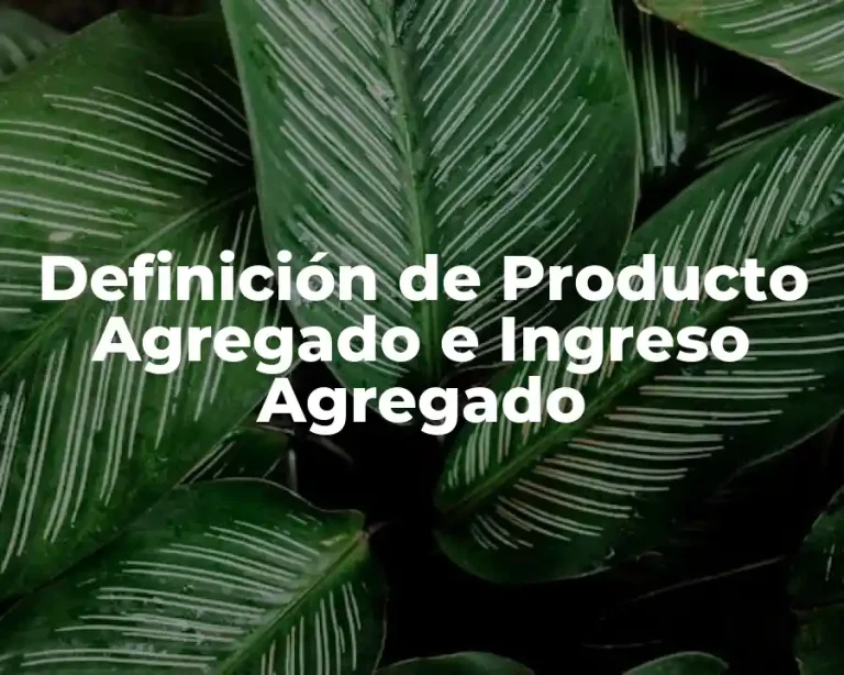 Definición de Producto Agregado e Ingreso Agregado