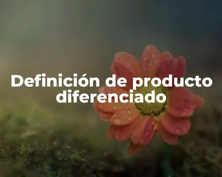 Definición de producto diferenciado