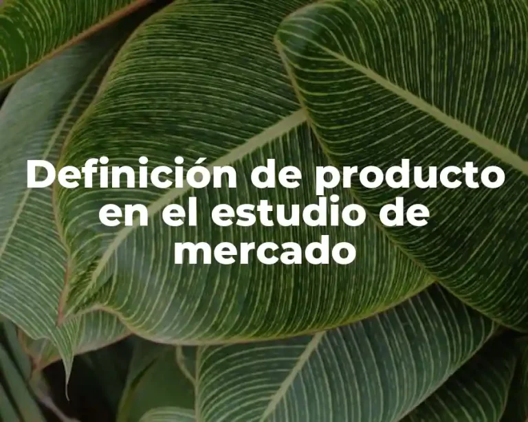 Definición de producto en el estudio de mercado