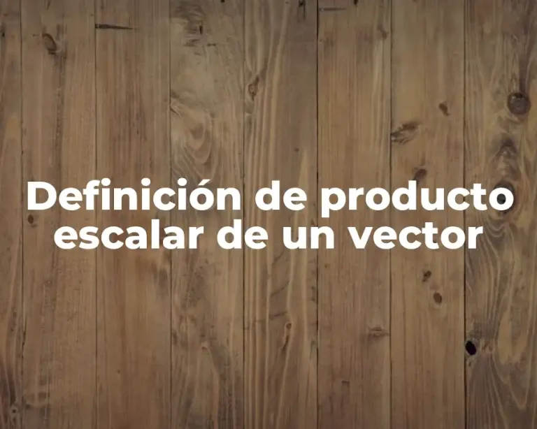 Definición de producto escalar de un vector