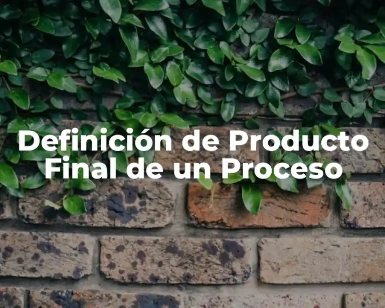 Definición de Producto Final de un Proceso