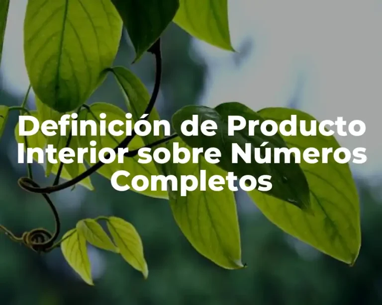 Definición de Producto Interior sobre Números Completos