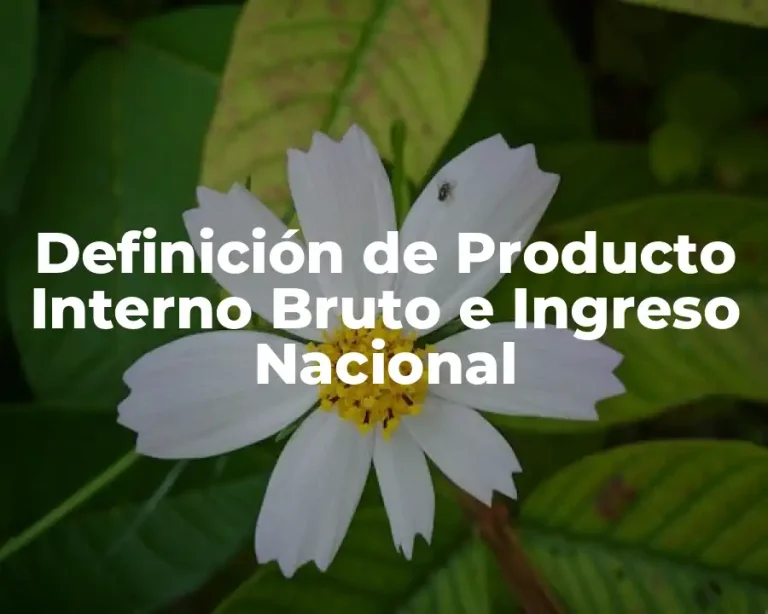 Definición de Producto Interno Bruto e Ingreso Nacional