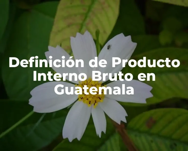 Definición de Producto Interno Bruto en Guatemala