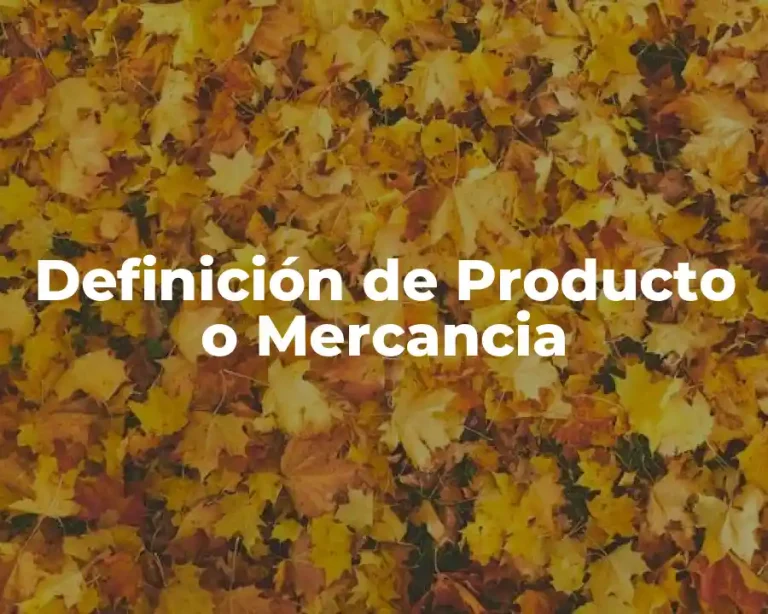 Definición de Producto o Mercancia