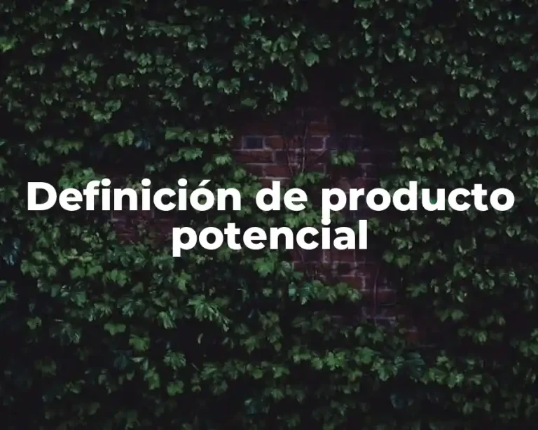Definición de producto potencial