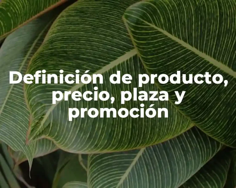 Definición de producto, precio, plaza y promoción