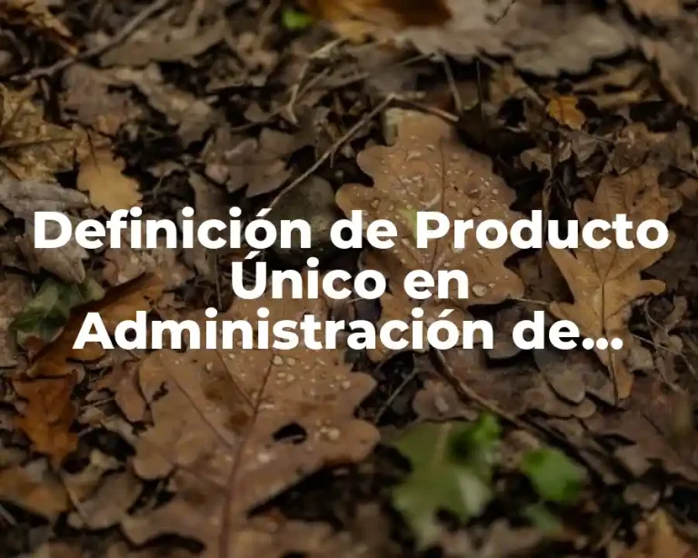 Definición de Producto Único en Administración de Operaciones