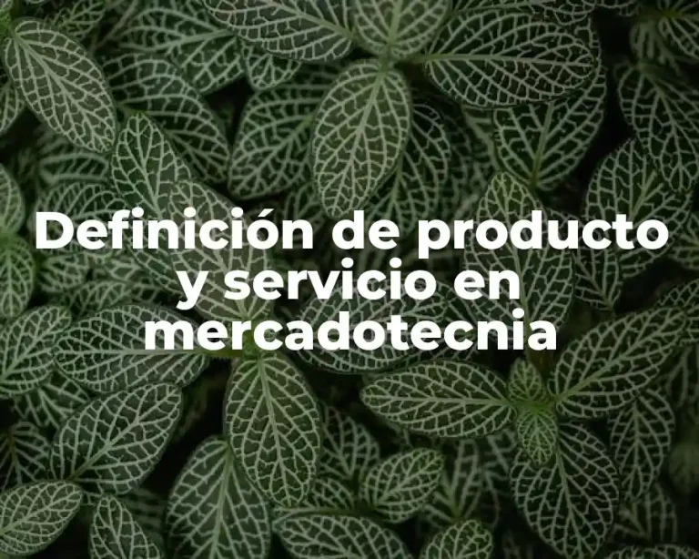 Definición de producto y servicio en mercadotecnia