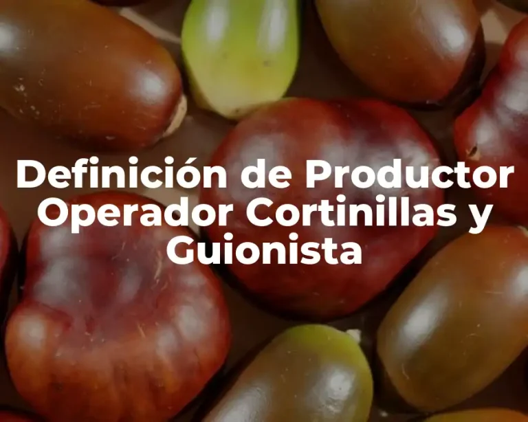 Definición de Productor Operador Cortinillas y Guionista