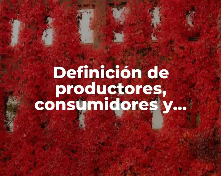 Definición de productores, consumidores y descomponedores