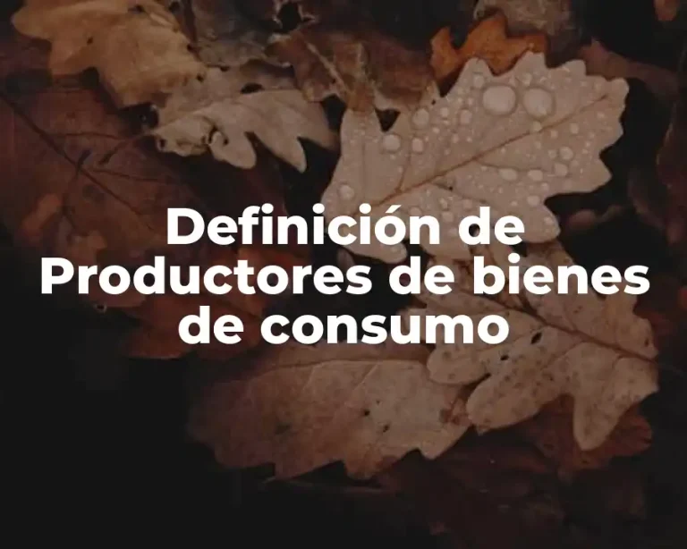 Definición de Productores de bienes de consumo