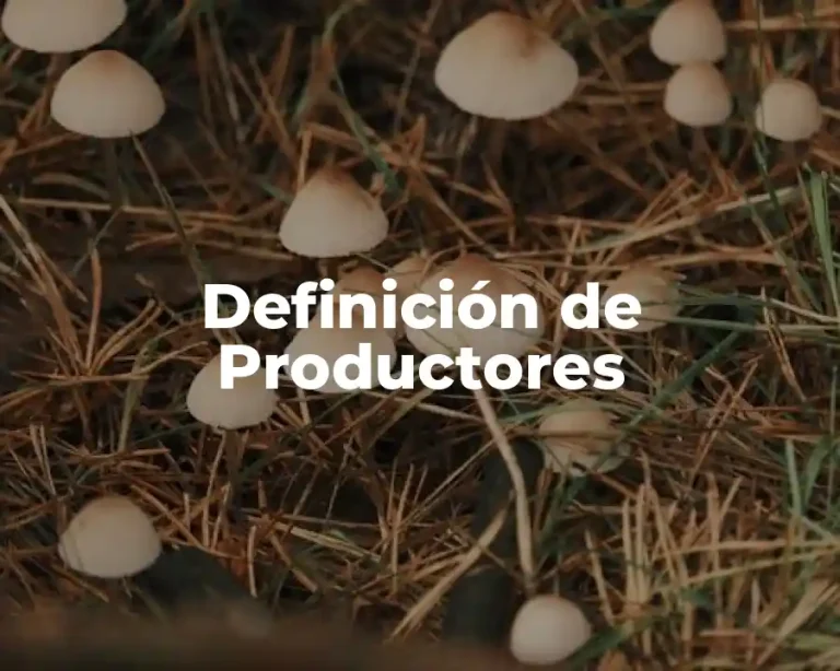 Definición de Productores