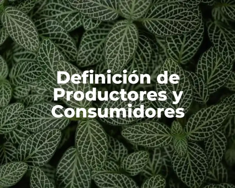 Definición de Productores y Consumidores