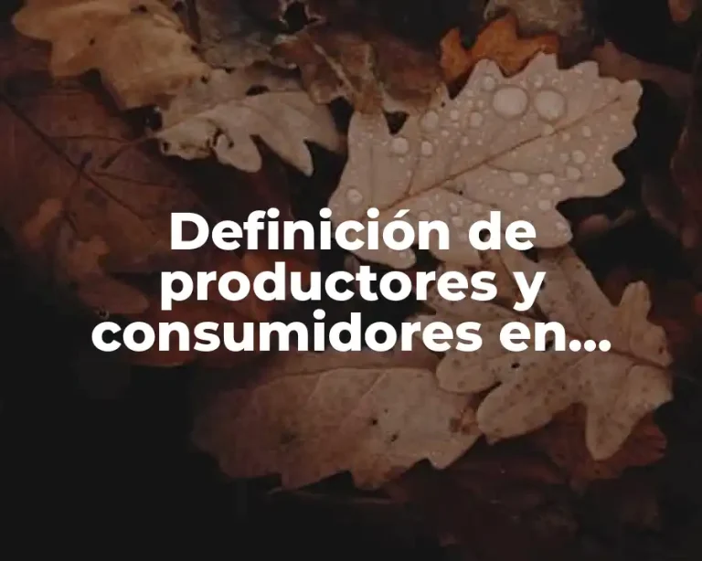 Definición de productores y consumidores en economía