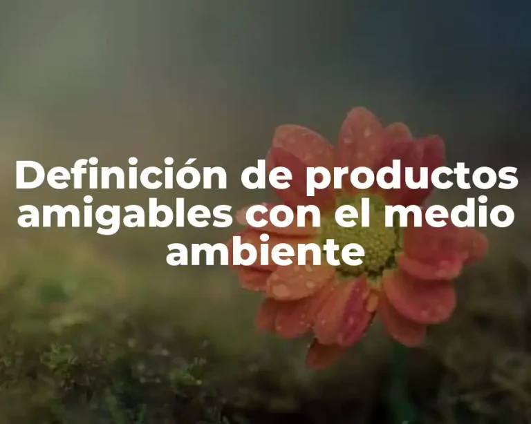 Definición de productos amigables con el medio ambiente