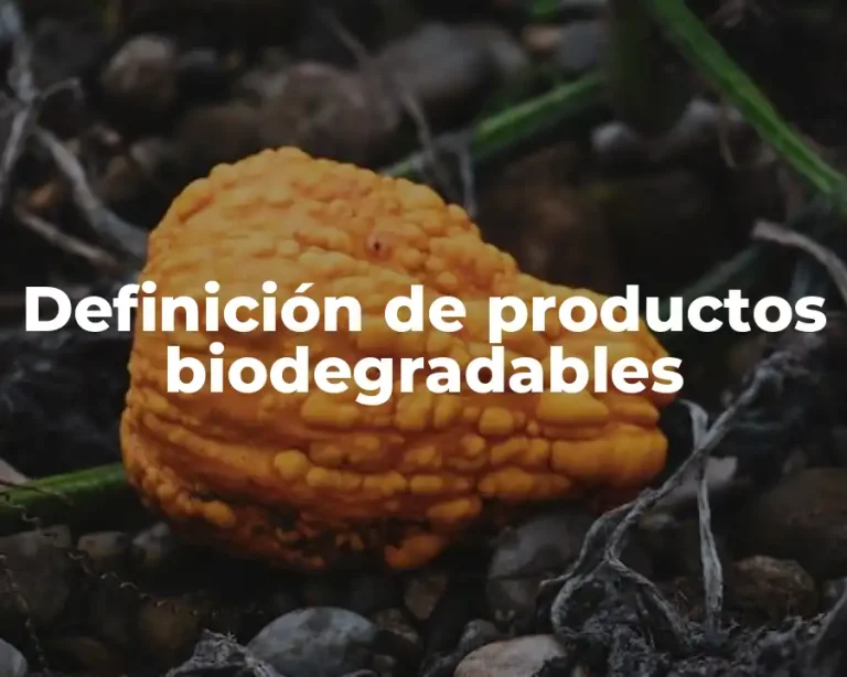 Definición de productos biodegradables