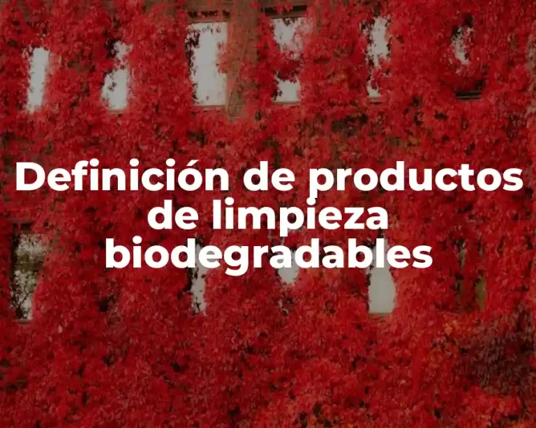 Definición de productos de limpieza biodegradables