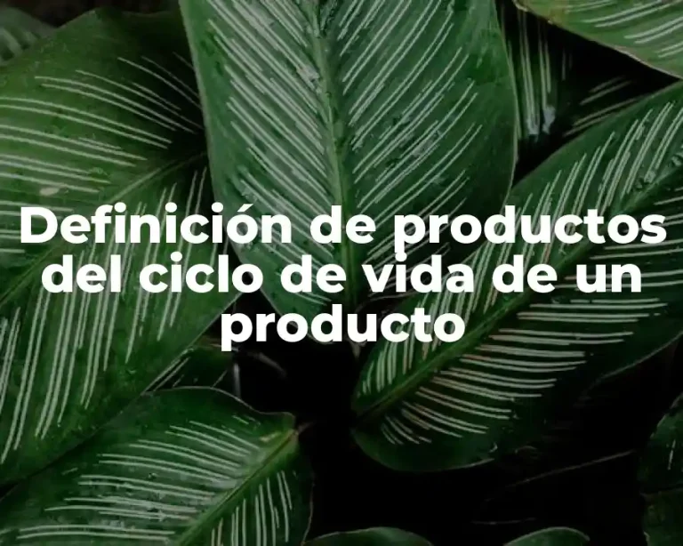 Definición de productos del ciclo de vida de un producto
