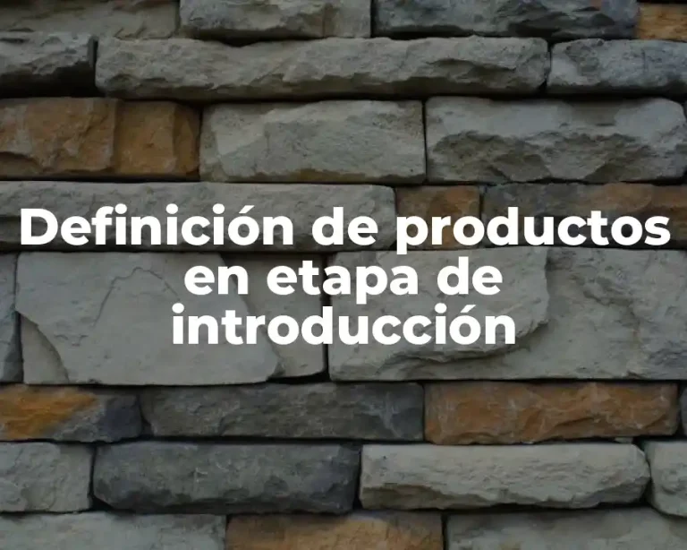Definición de productos en etapa de introducción