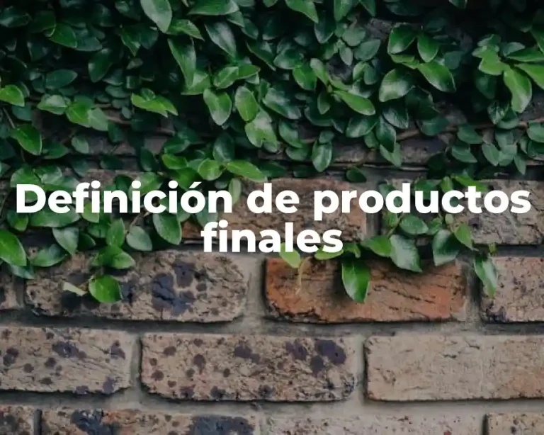 Definición de productos finales