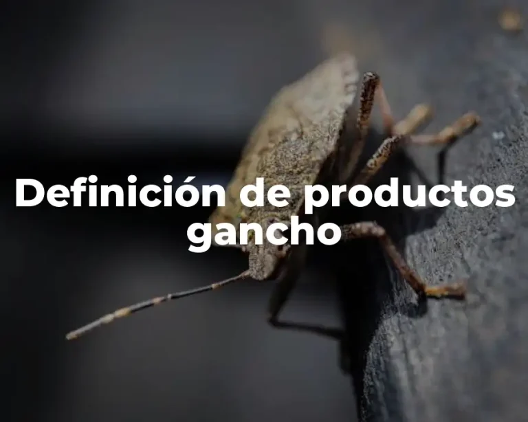 Definición de productos gancho