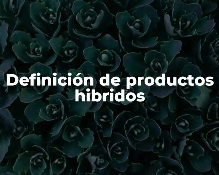 Definición de productos hibridos