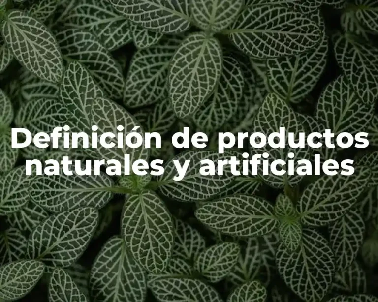 Definición de productos naturales y artificiales