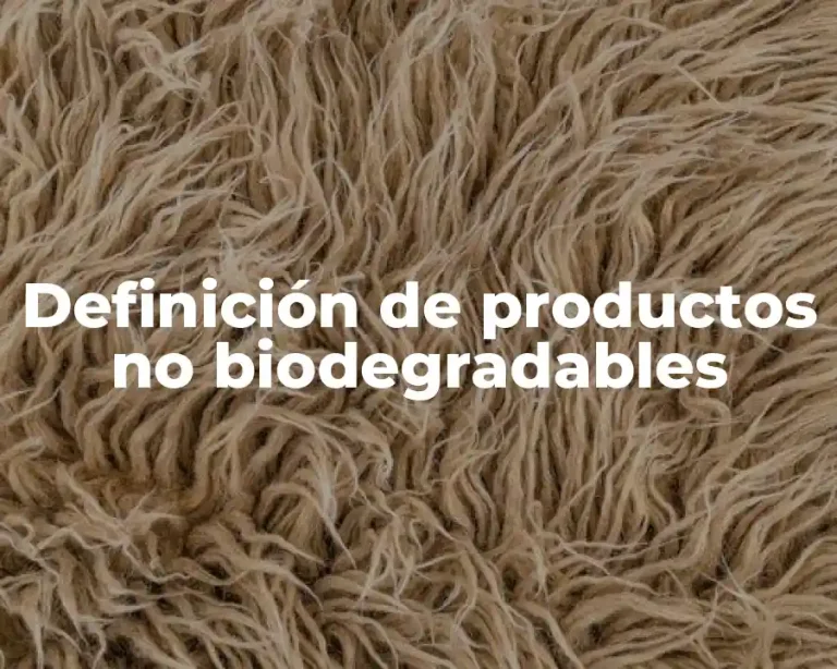 Definición de productos no biodegradables
