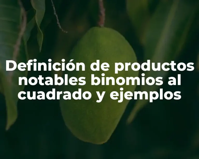 Definición de productos notables binomios al cuadrado y ejemplos