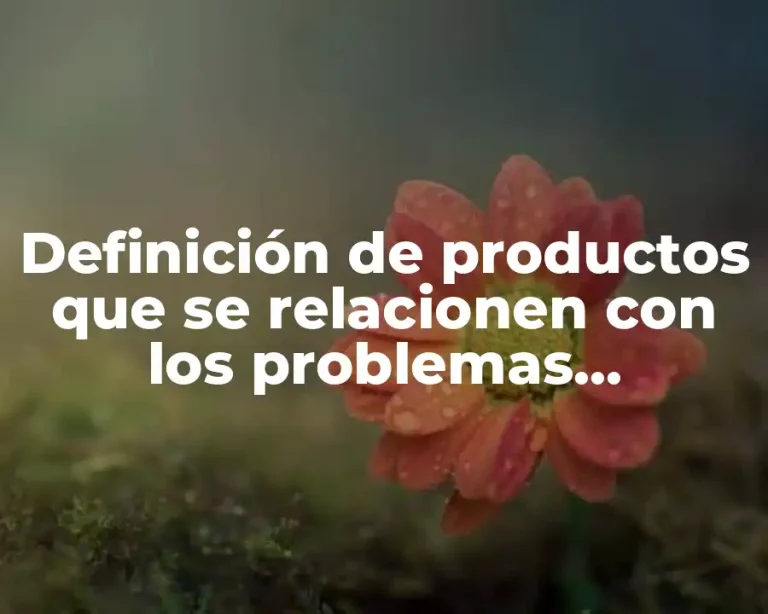 Definición de productos que se relacionen con los problemas macroeconómicos