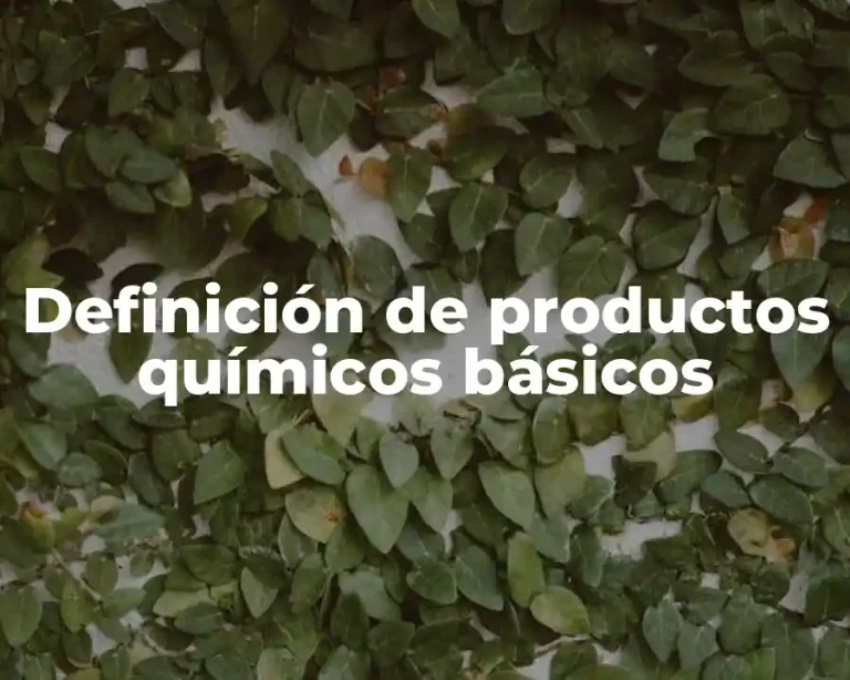 Definición de productos químicos básicos