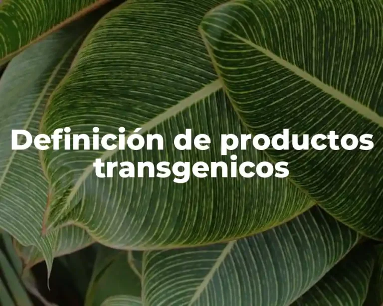 Definición de productos transgenicos