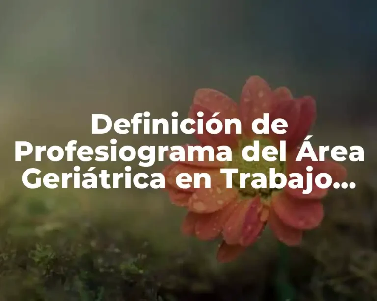 Definición de Profesiograma del Área Geriátrica en Trabajo Social
