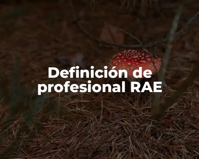 Definición de profesional RAE